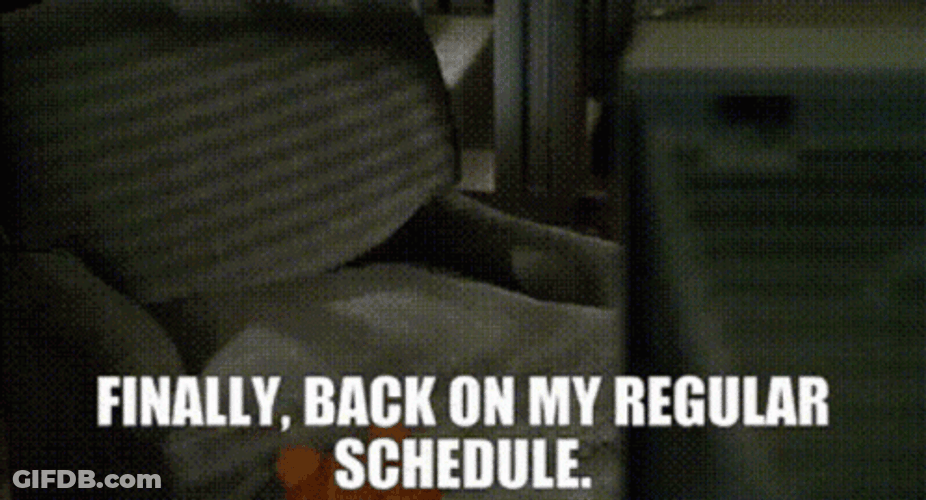 Finally Back On My Regular Schedule Garfield GIF