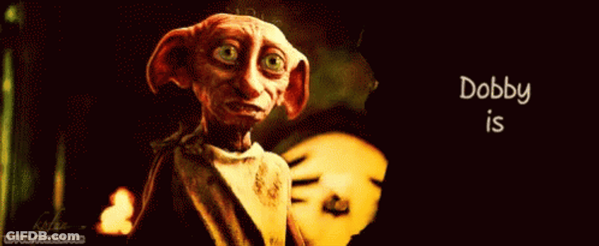 Finally Dobby Is Free GIF