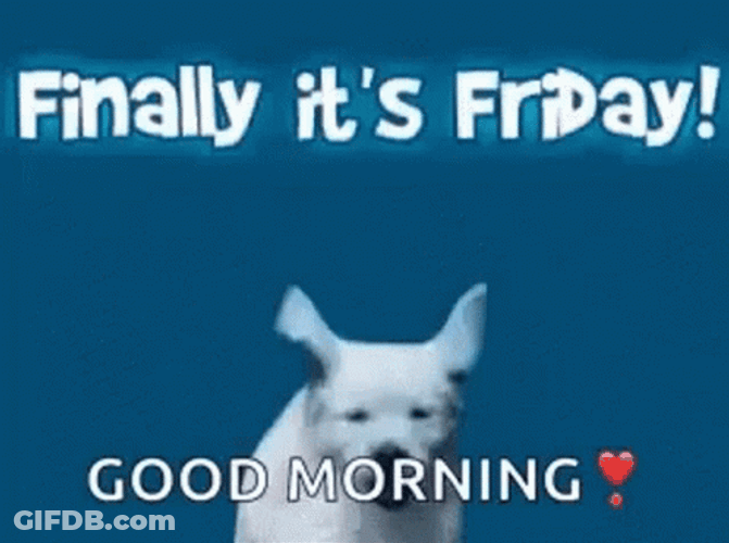 Finally Friday Greeting Happy Jumping Dog GIF
