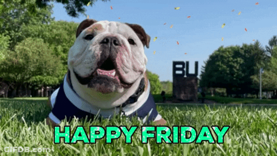 Finally Friday Happy Bulldog Confetti GIF