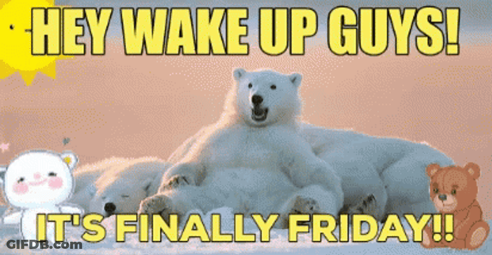 Finally Friday Wake Up Bears Meme GIF