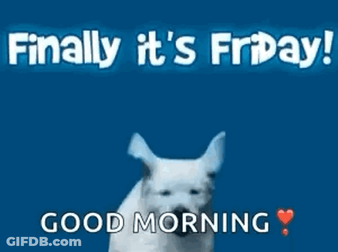 Finally Happy Dog Friday Meme GIF