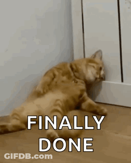 Finally Meme Cat Gets Weak GIF