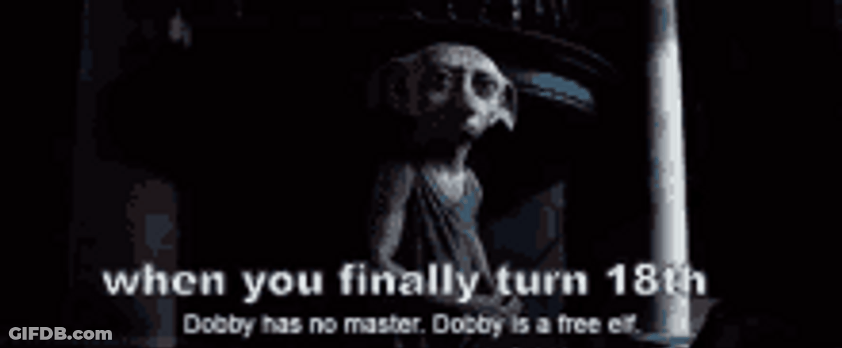 Finally Turning 18 Dobby Elf Harry Potter GIF