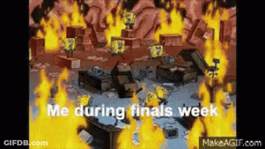 Finals Study GIF