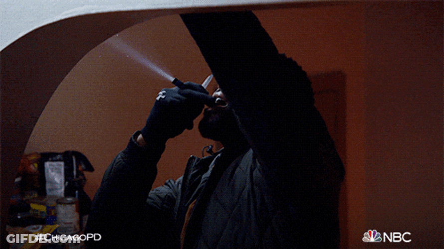 Find Crime Evidence GIF