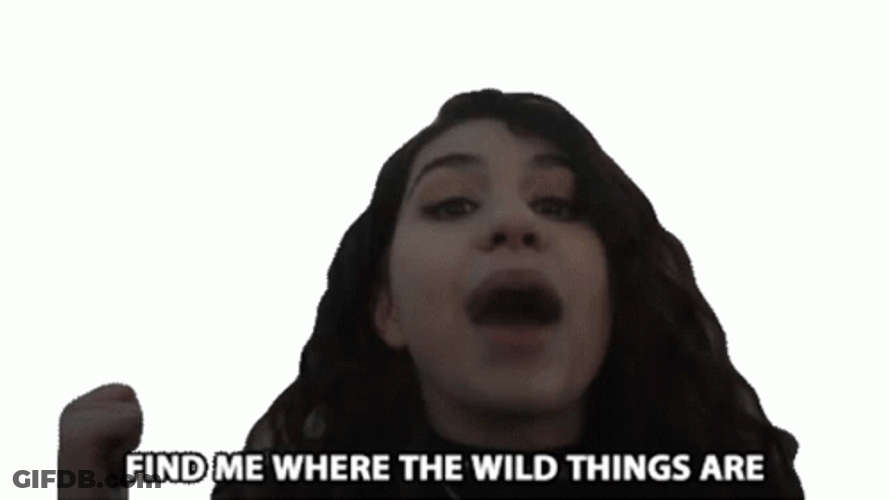 Find Me Where The Wild Things Are GIF