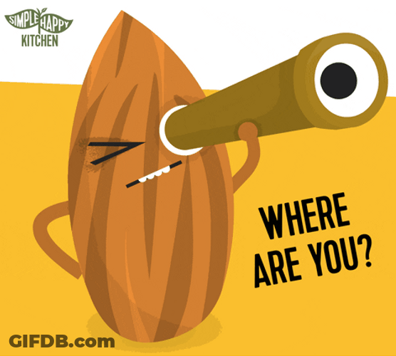 Find Where Are You GIF
