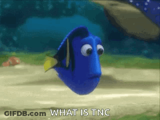 Finding Dory Blue Fish Asking What GIF