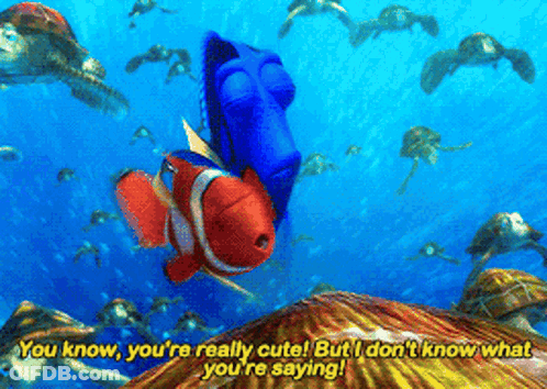 Finding Dory Clown Fish And Turtles GIF