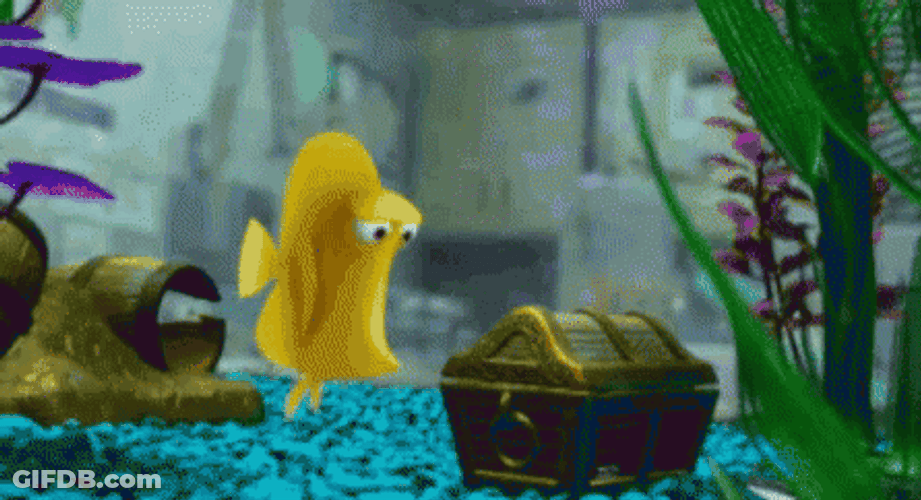 Finding Nemo Bubbles Yellow Tang Fish GIF