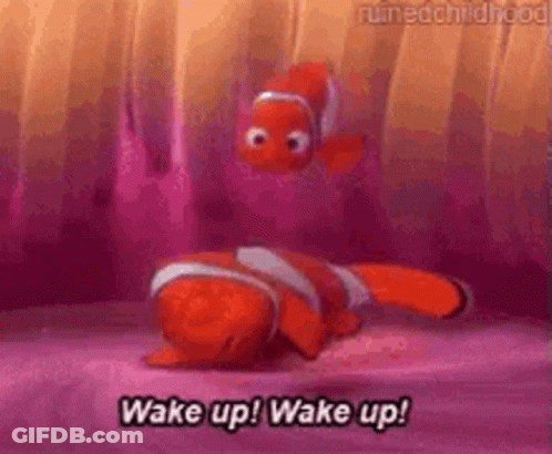 Finding Nemo Clown Fish Laying On Bed Saying Wake Up GIF