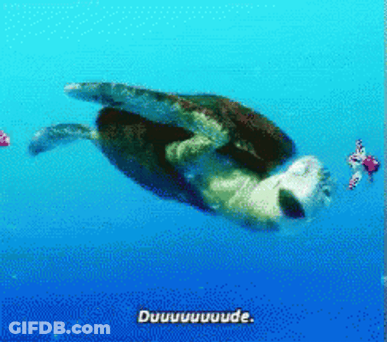 Finding Nemo Crush Dude GIF
