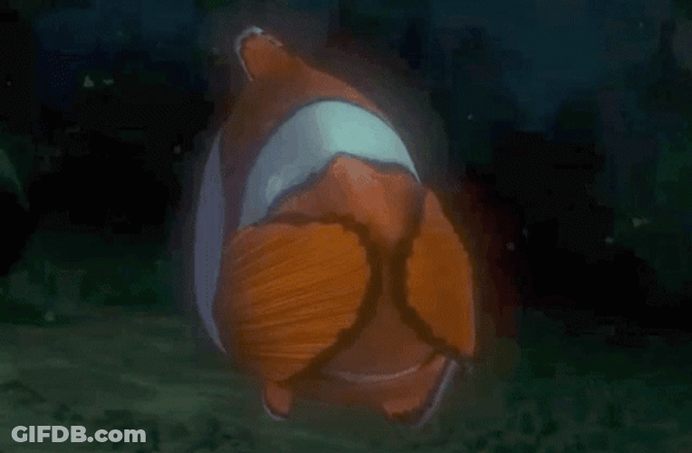 Finding Nemo Dad Covers His Eyes GIF