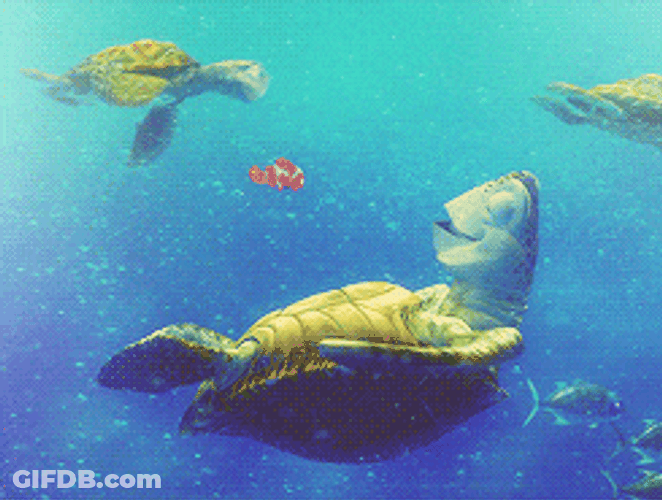 Finding Nemo Fish Meme GIF