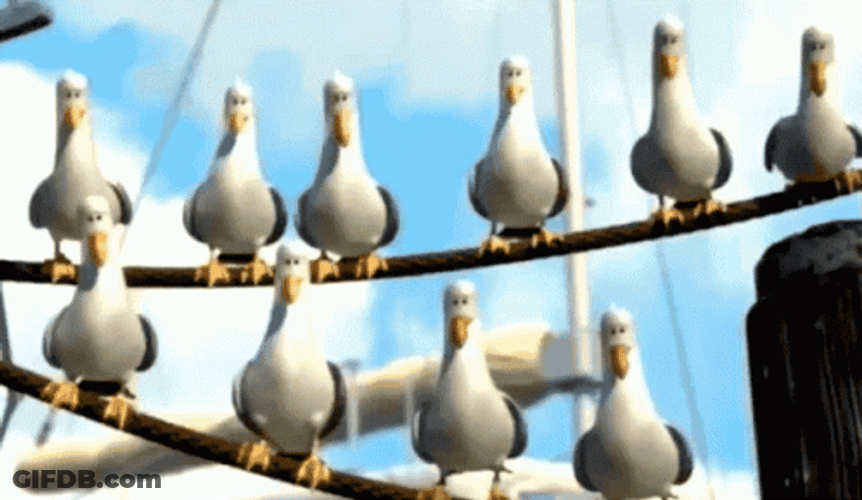 Finding Nemo Flock Of Seagulls Mine GIF