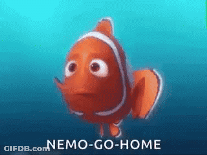 Finding Nemo Go Home GIF