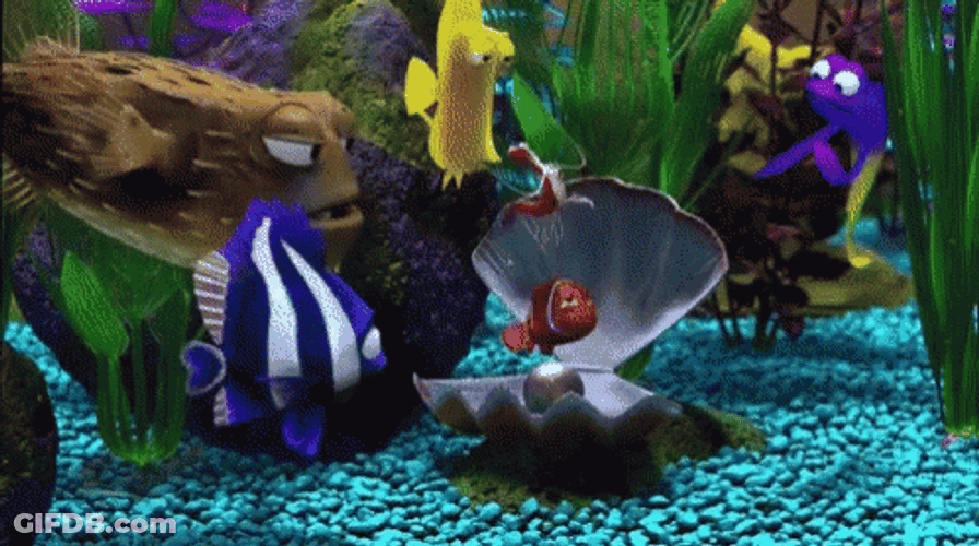 Finding Nemo Jacques Cleaning Clownfish GIF