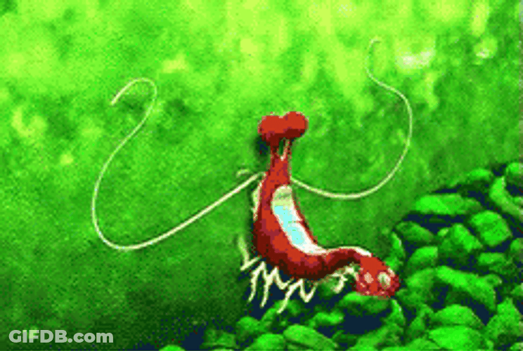 Finding Nemo Jacques I Am Ashamed GIF