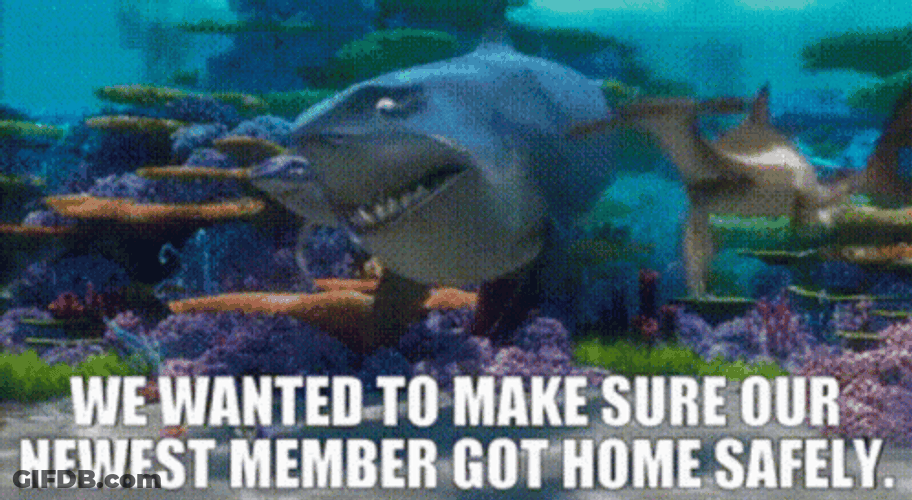 Finding Nemo Scene Sharks Got Home GIF