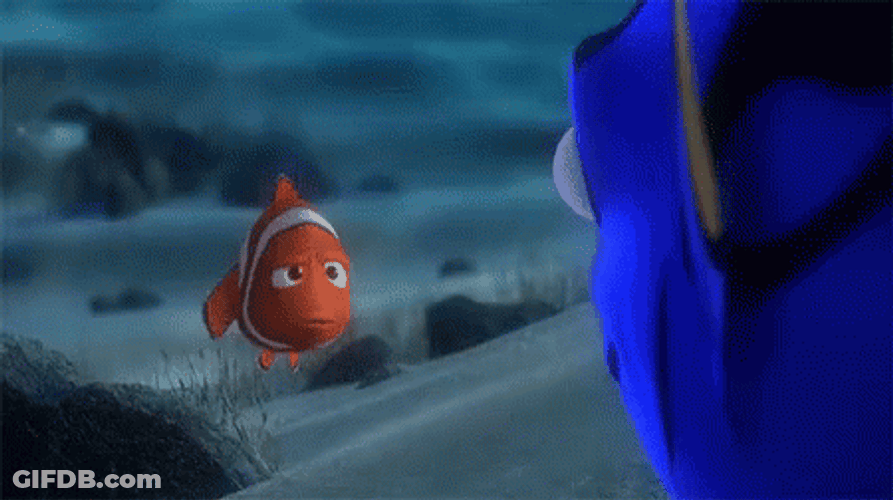 Finding Nemo Something Wrong With You GIF