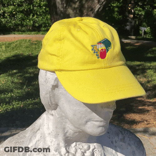 Fine Art Polychromatic Baseball Cap GIF
