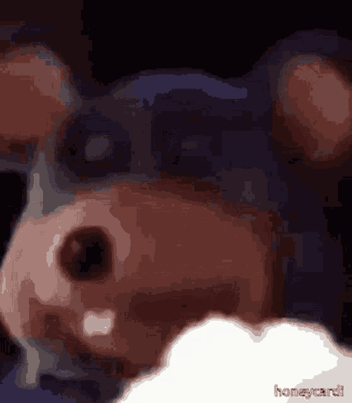 Fineszn Fineeszn GIF