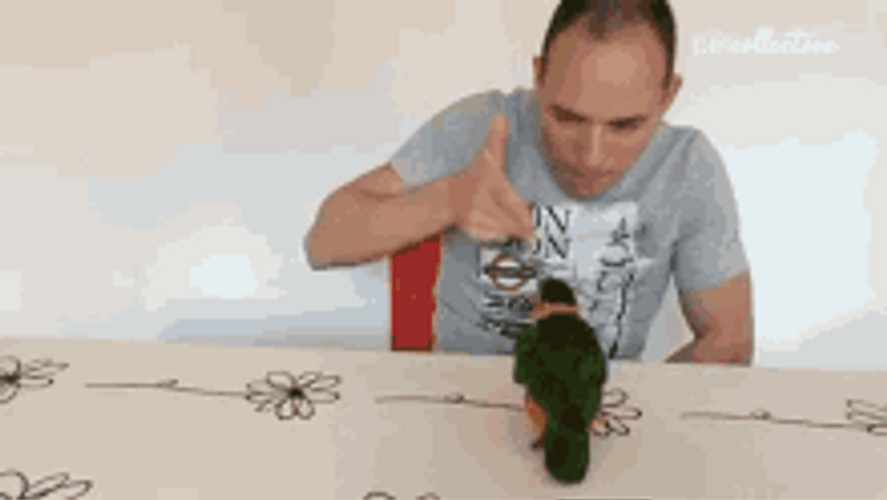 Finger Guns Bird Play Dead GIF