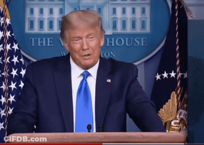 Finger Pointing Donald Trump GIF