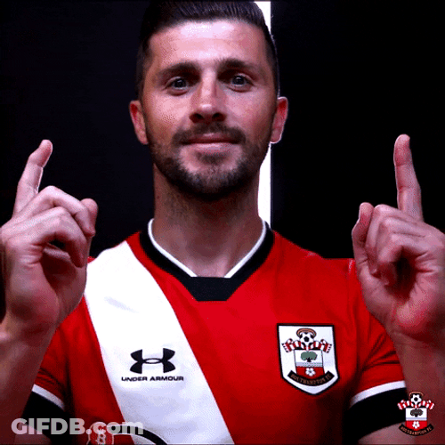 Finger Pointing Go Southampton FC GIF