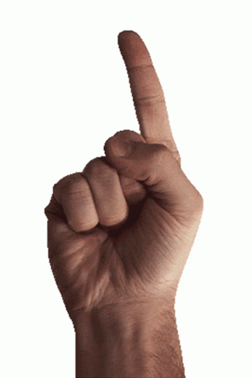 Finger Pointing Up No GIF