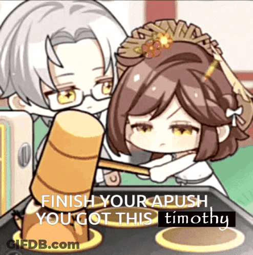 Finish Your APUSH You Got This Timothy GIF