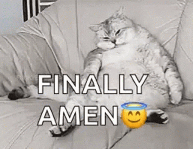 Finished Finally Fat Cat Sigh Meme GIF