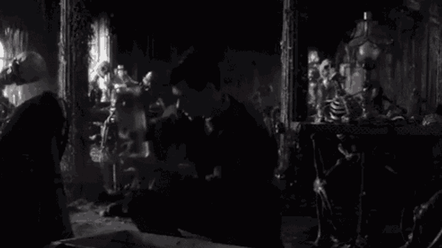 Finlay Macmillan GIF