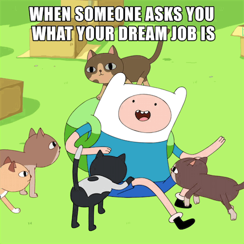 Finn Drowning In Cats Adventure Time GIF