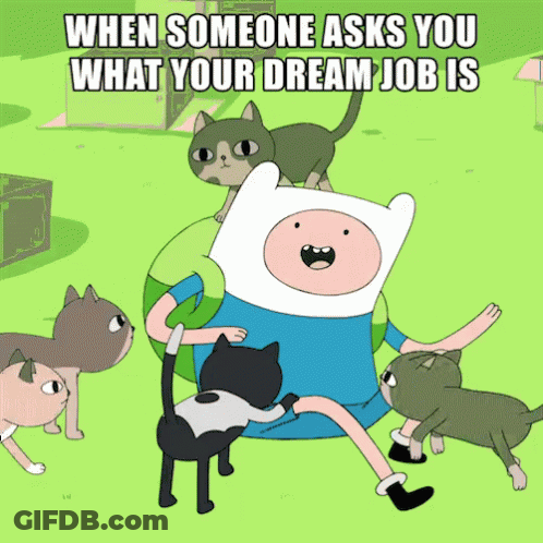 Finn Surrounded By Cats When Someone Asks You What Your Dream Job Is GIF