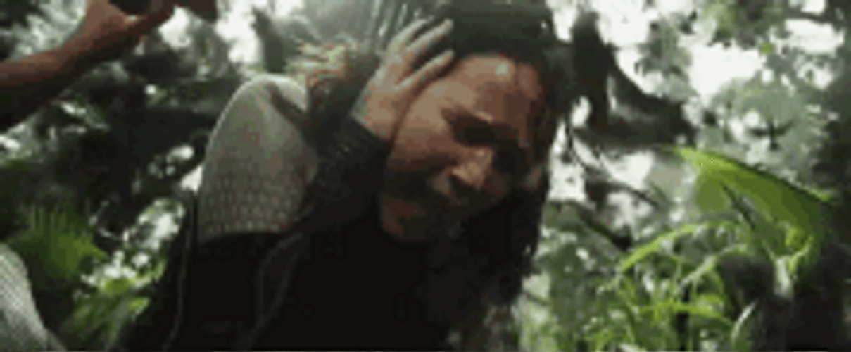 Fire Birds Scream May The Odds Be Ever In Your Favor GIF