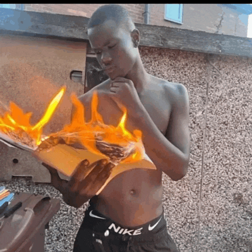 Fire Book Meme GIF