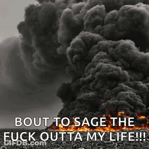 Fire Bout To Sage The Fuck Outta My Life GIF