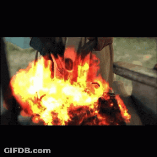 Fire Eagle Wearing Sunglasses GIF
