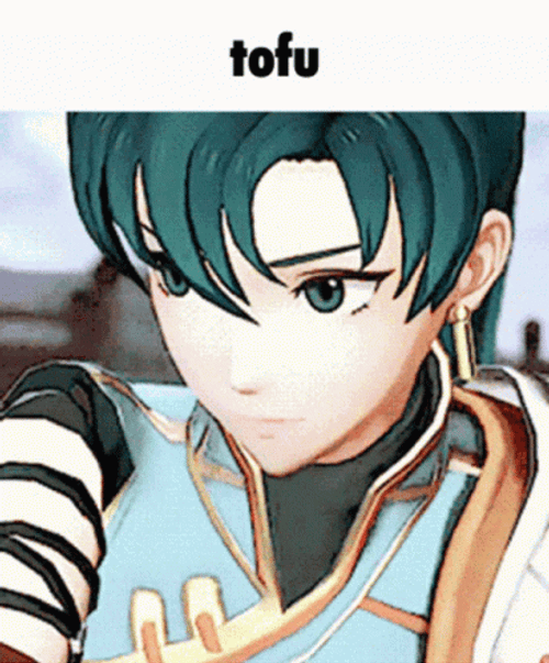 Fire Emblem Warriors Tofu Lyndis GIF