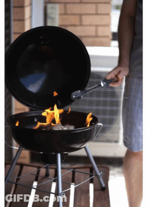 Fire Griller Cookout GIF