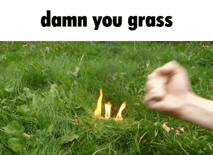 Fire On The Grass GIF