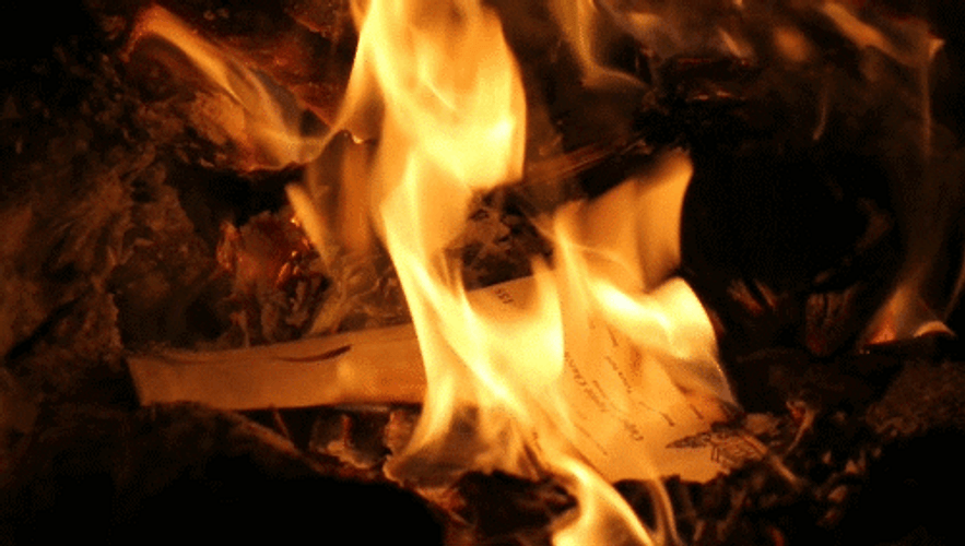 Fire Wood GIF