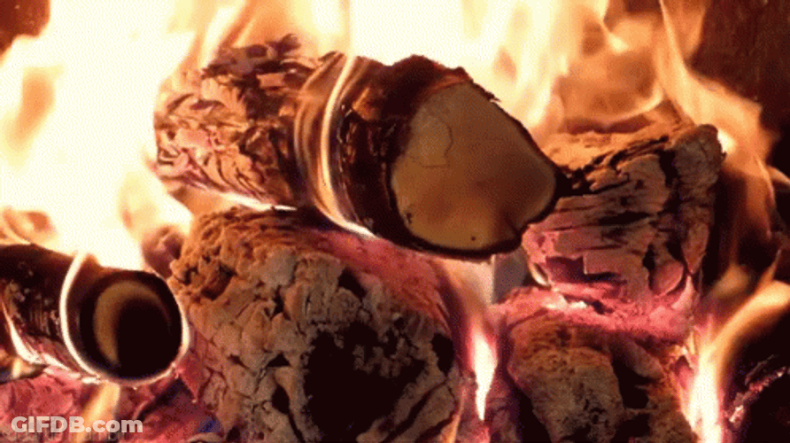 Fire Wood Burning GIF