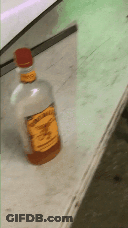 Fireball Empty Cinnamon Whiskey GIF