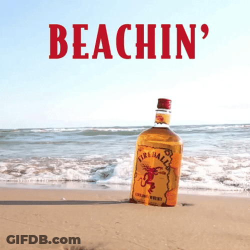 Fireball Happy Hour Beach GIF