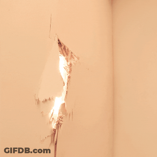 Fireball Heres Whisky GIF