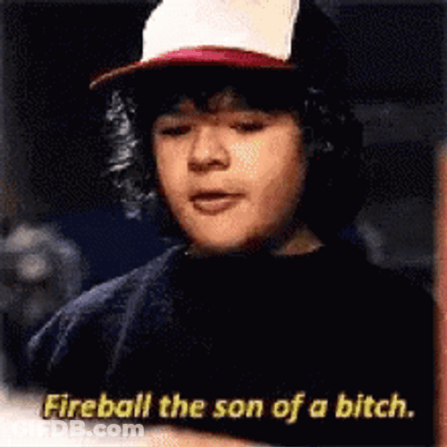 Fireball The Son Of A Bicth GIF