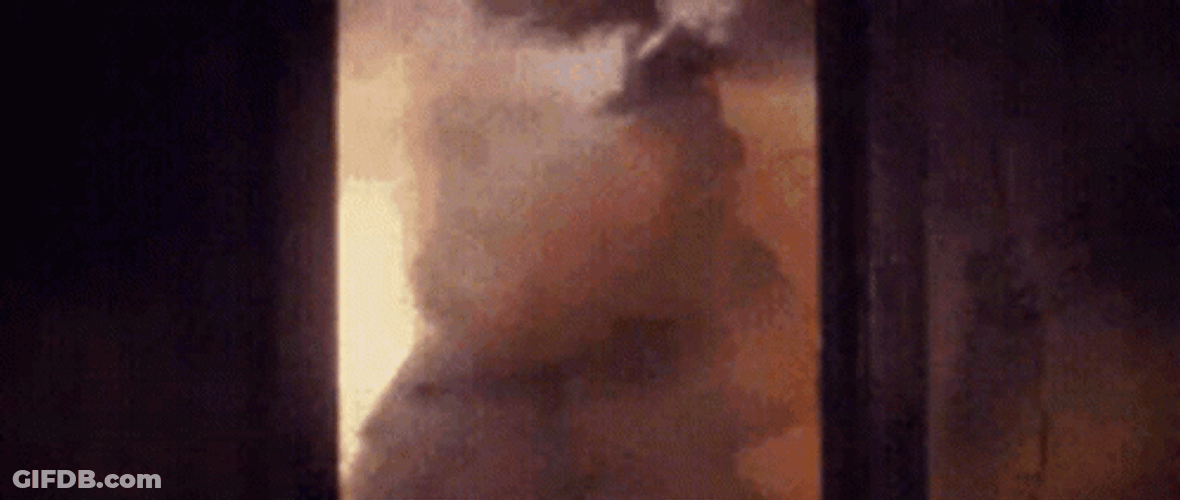 Firefighter Rescued Question Hound The Dog GIF